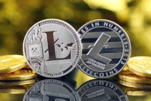 Inside the MiCAR Compliance Dash Prior to Hard Summer Deadline How European CASPs Are Restructuring to Preserve Litecoin Trading Pairs