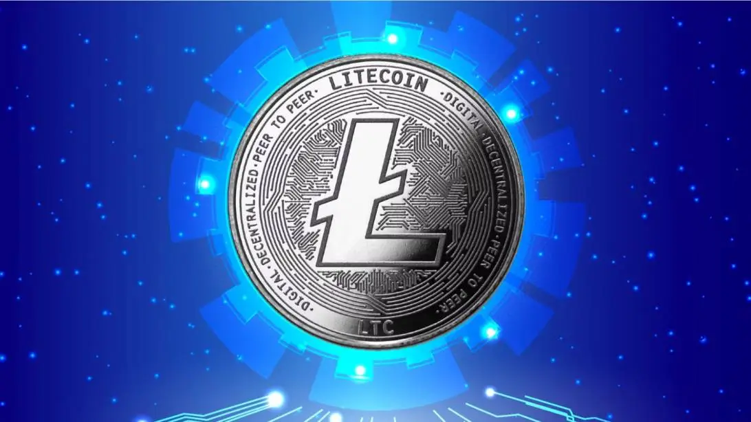 Market Selloff Drags Litecoin Price to Mid-May Lows Critical Support Triggers and On-Chain Analysis