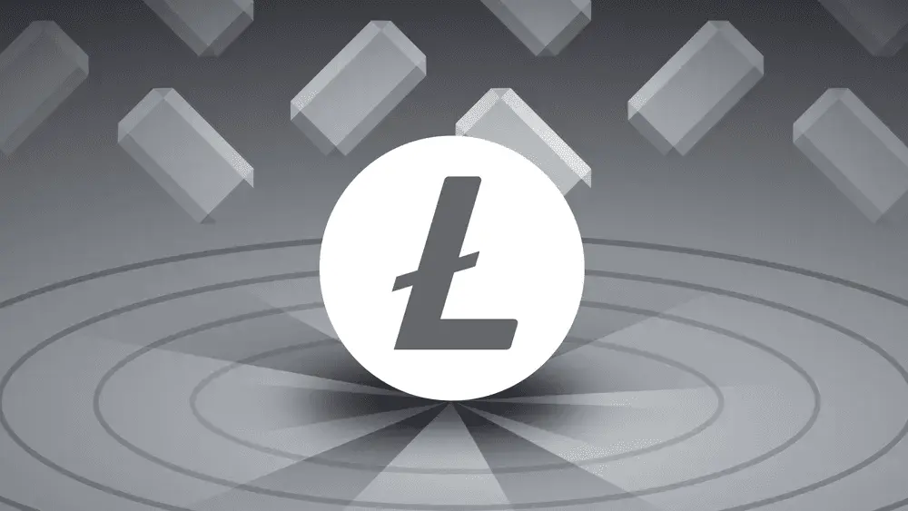 The Anatomy of a Chain Reorg Inside the Mid-May Debates Over the Litecoin MWEB Exploit Window