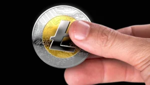 The Decoupling of Hashrate and Price Why Litecoin Network Compute Power Defies the 2026 Bear Market